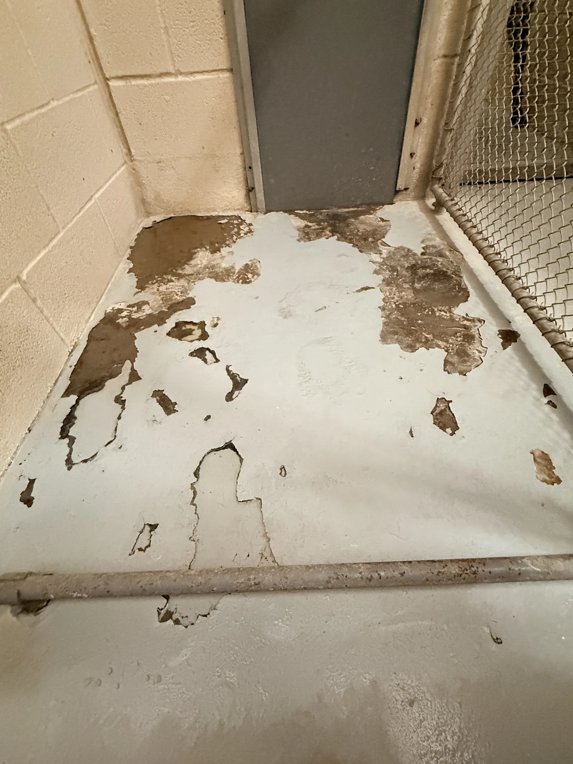 Federal K9 kennel facility — Before the work 1